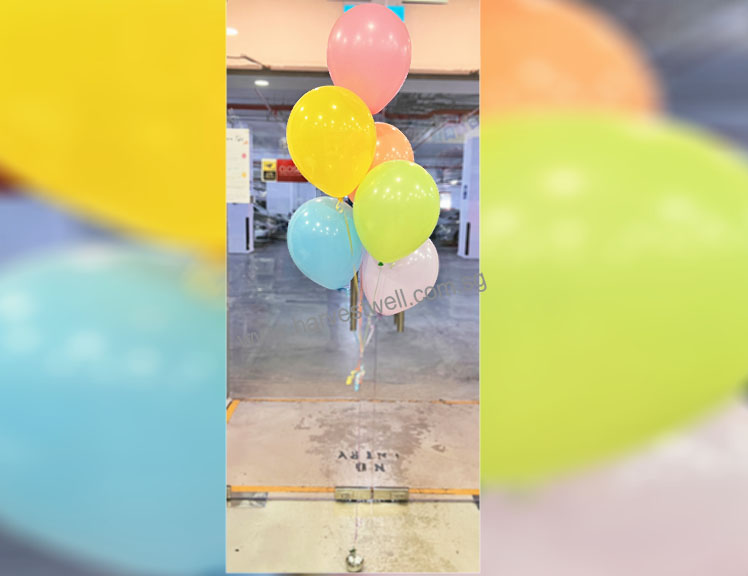 Create Your Own Bouquet 6 Balloons